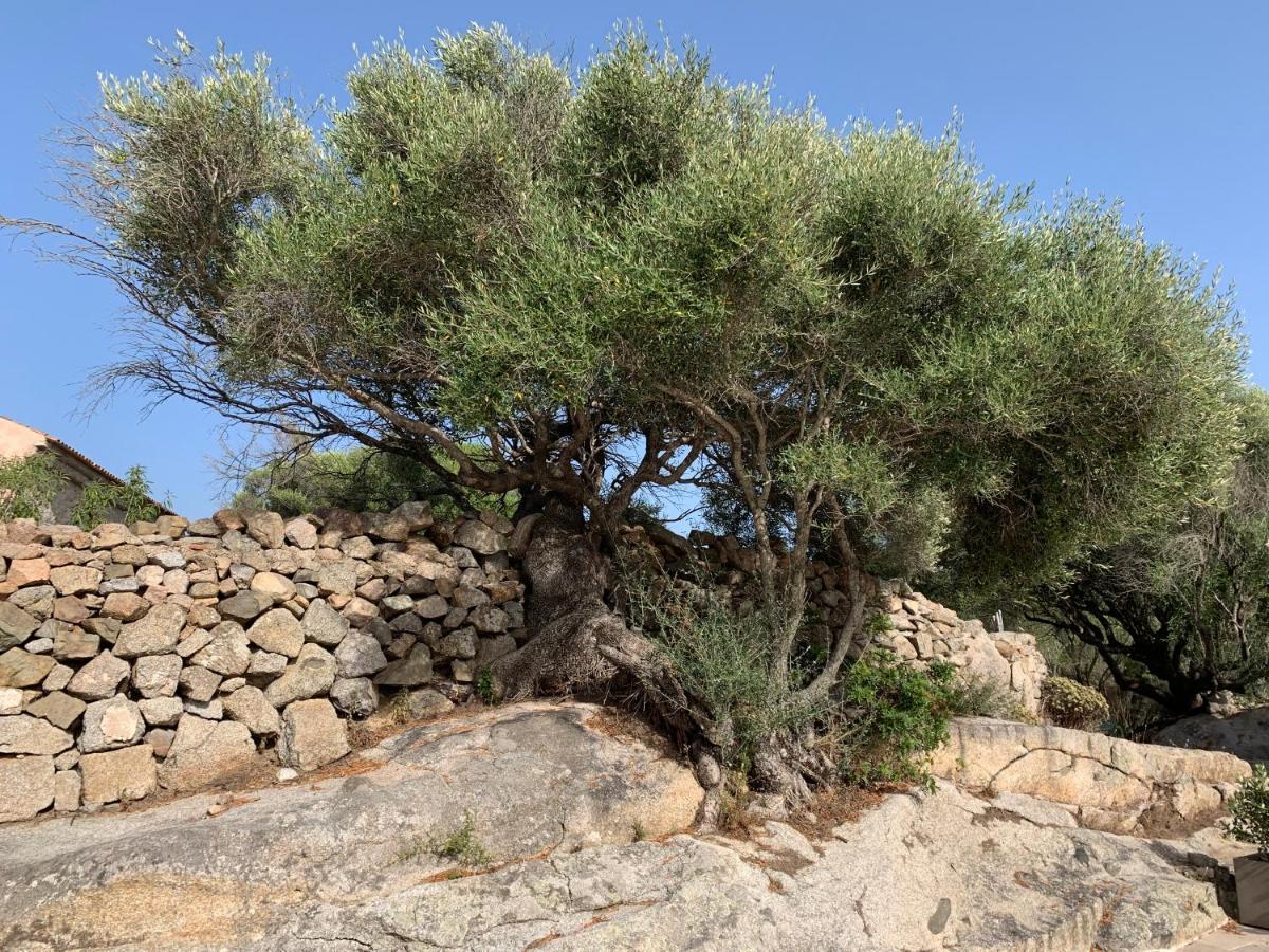 Гостевой дом Stazzu Nuraghe Mannucciu Рена-Майоре Экстерьер фото